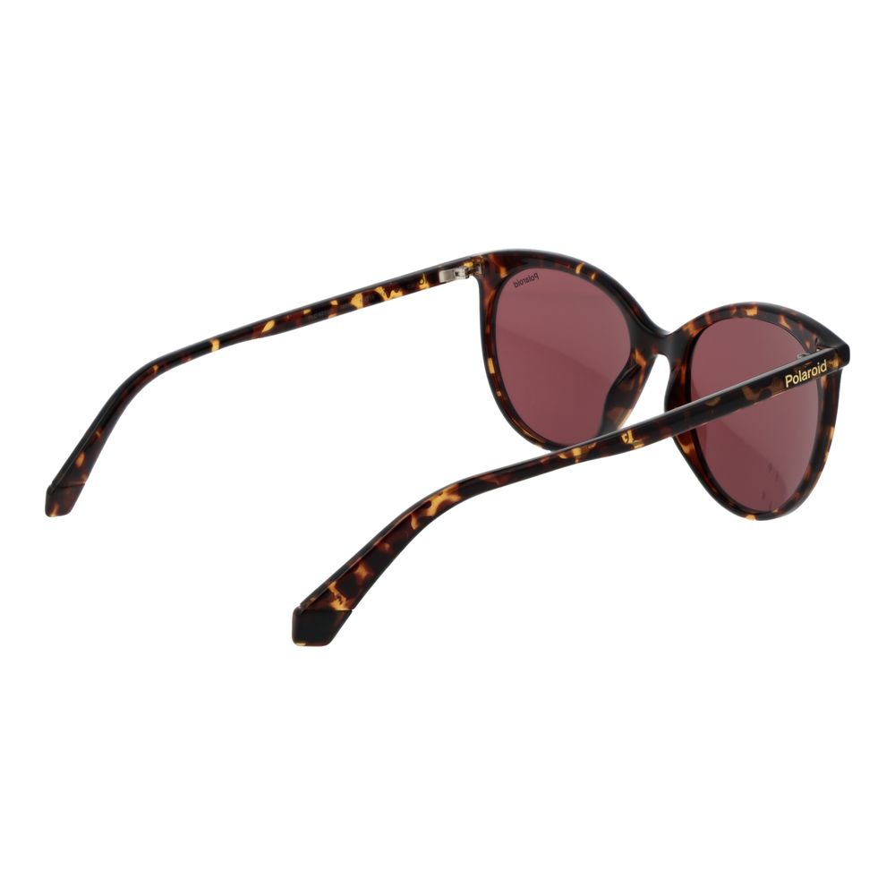 Polaroid Brown Polycarbonate Sunglasses Polaroid