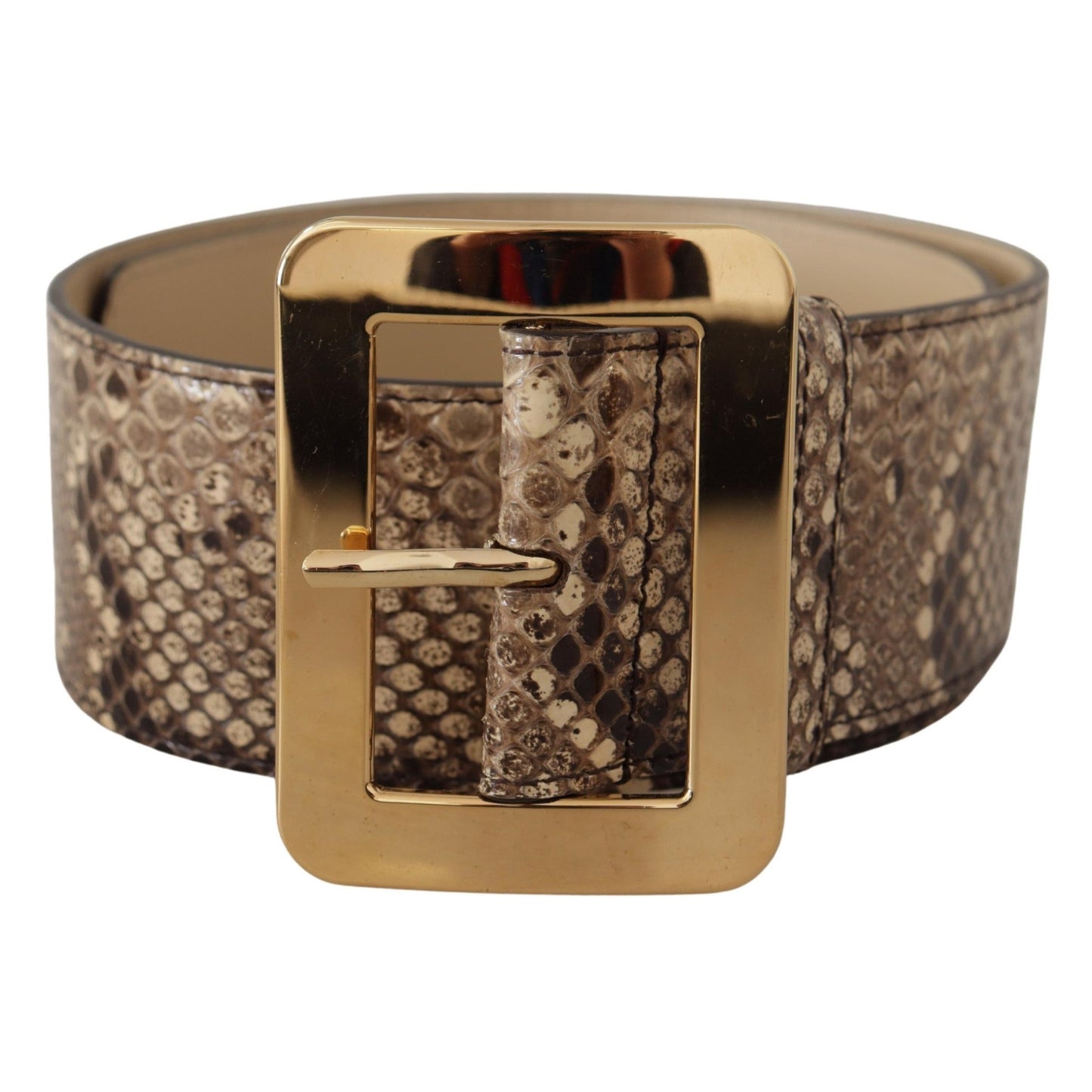 Dolce & Gabbana Brown Exotic Wide Waist Leather Gold Metal Buckle Belt Dolce & Gabbana