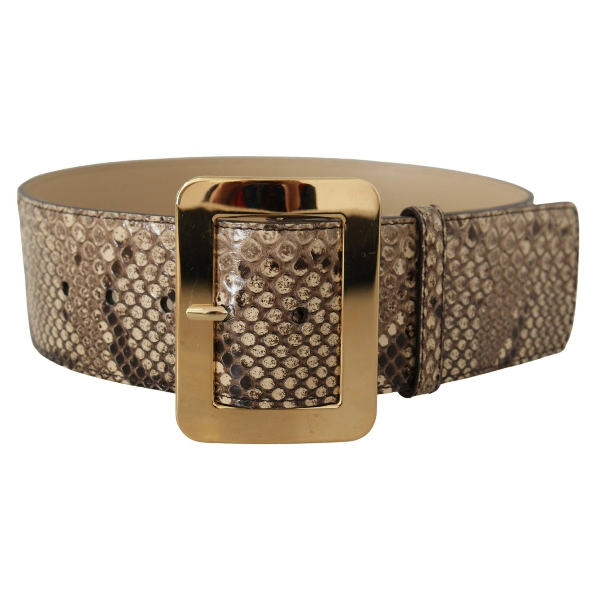 Dolce & Gabbana Brown Exotic Wide Waist Leather Gold Metal Buckle Belt Dolce & Gabbana
