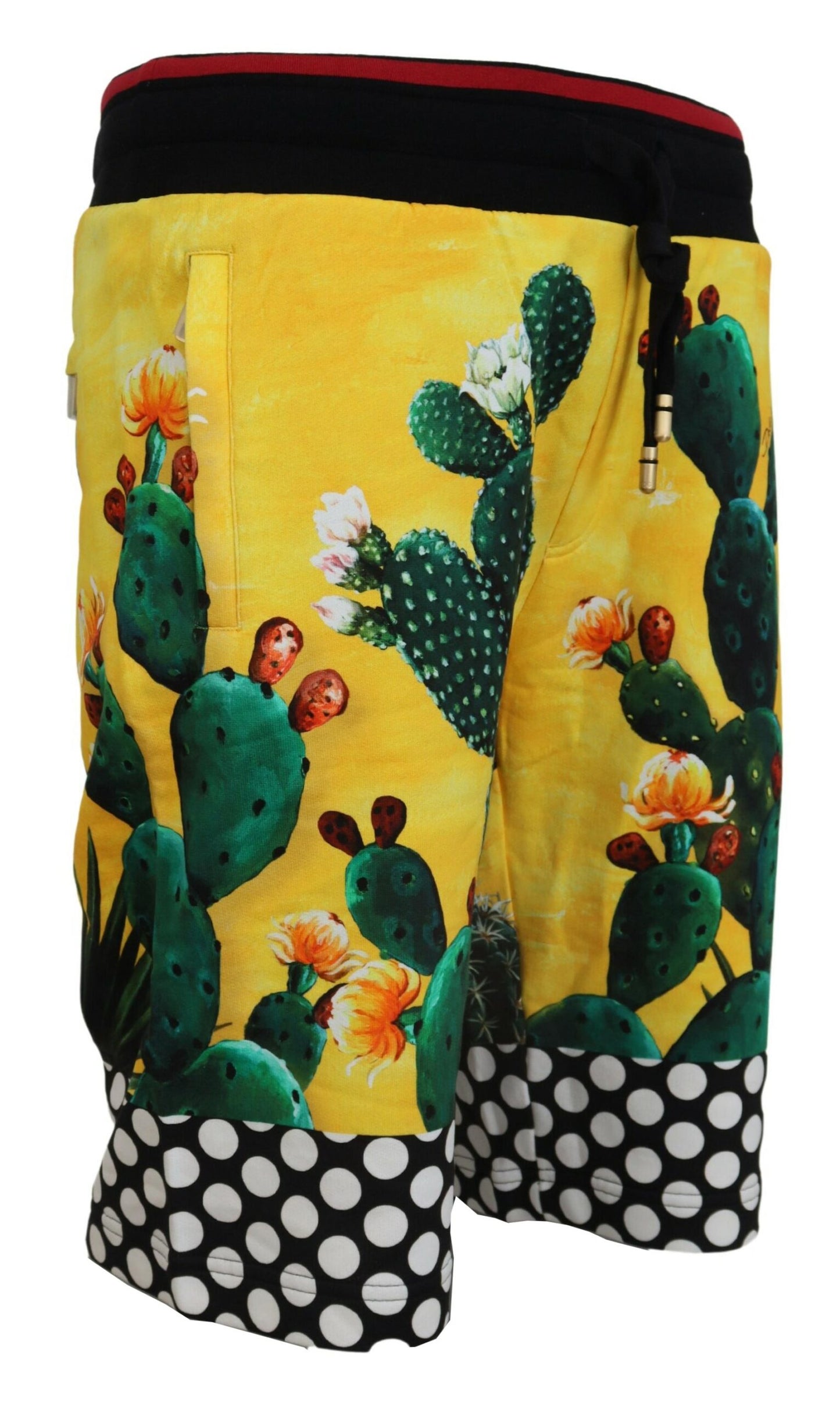 Dolce & Gabbana Multicolor Cactus Print Cotton Sweat Shorts Dolce & Gabbana
