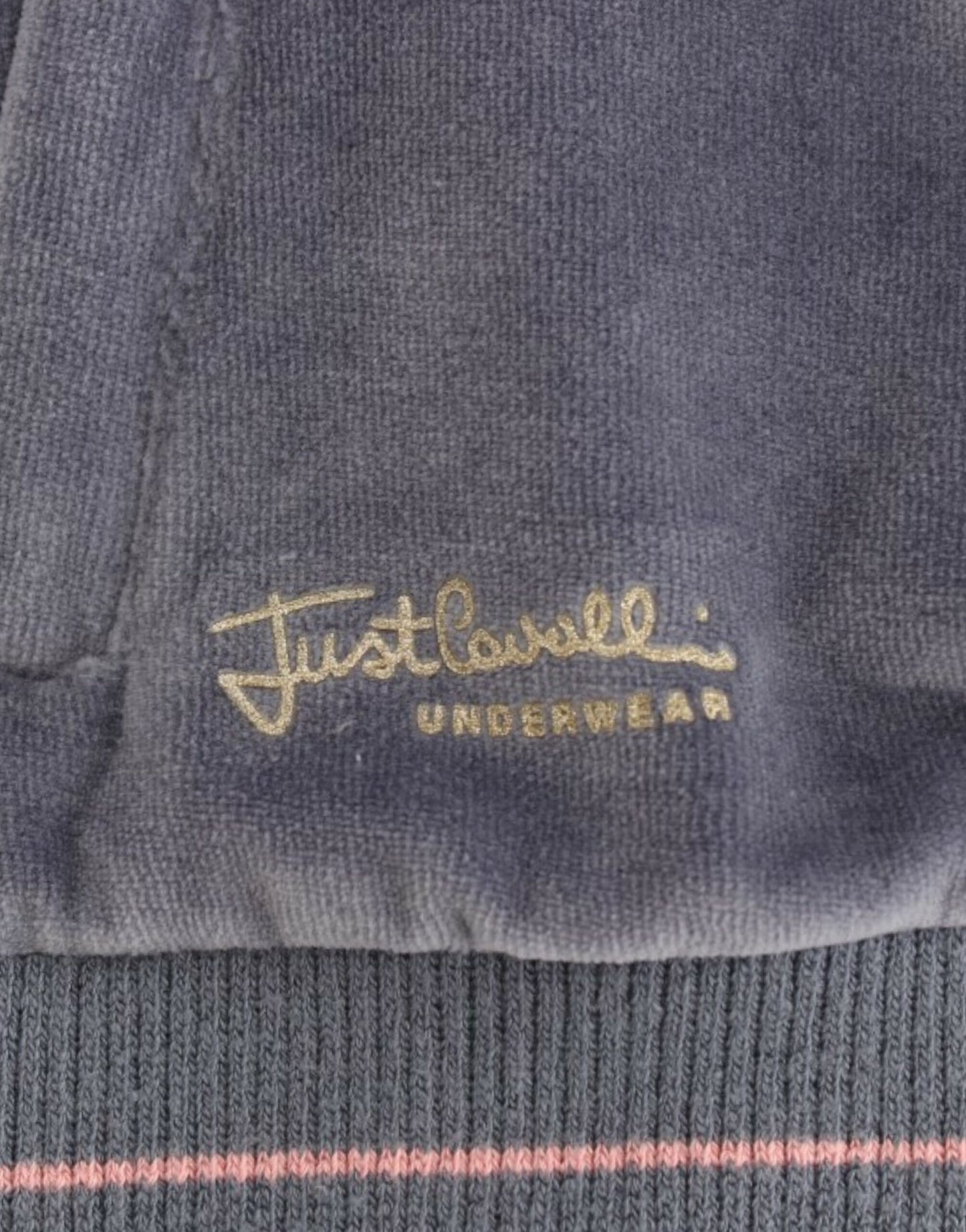 Cavalli Blue velvet zipup sweater Cavalli