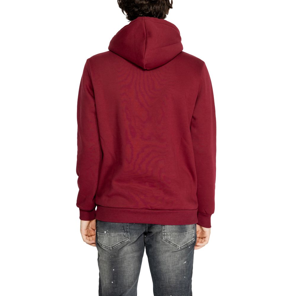 Icon Bordeaux Cotton Hoody Icon