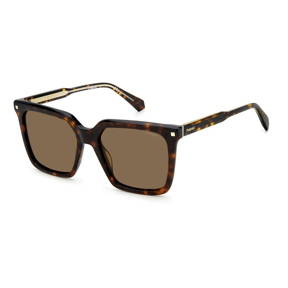 Polaroid Brown Acetate Sunglasses Polaroid