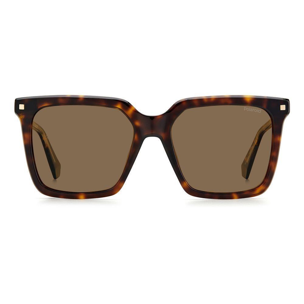 Polaroid Brown Acetate Sunglasses Polaroid