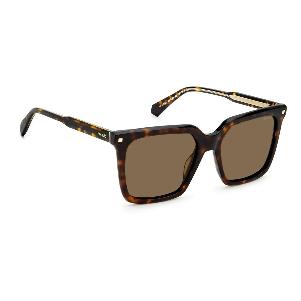 Polaroid Brown Acetate Sunglasses Polaroid