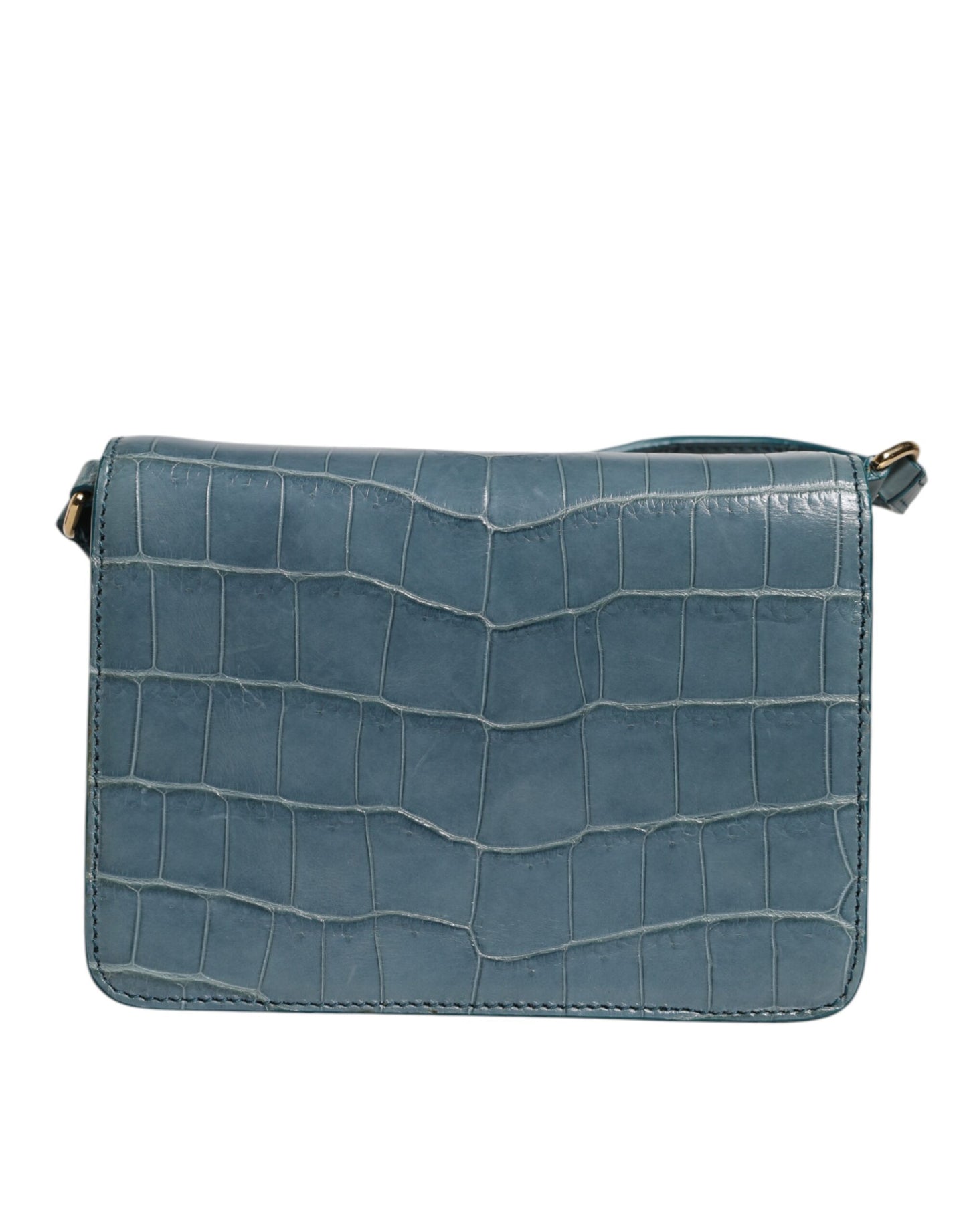 Dolce & Gabbana Green Exotic Leather DG Plaque Crossbody Mini Bag Dolce & Gabbana