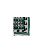 Lanvin bicolor wool scarf featuring a stylish two-tone design, soft texture, and classic look for versatile winter wear.