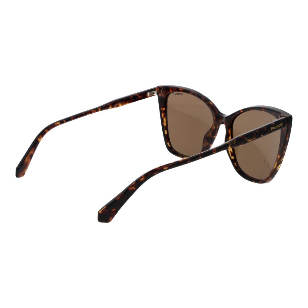 Polaroid Brown Polycarbonate Sunglasses Polaroid