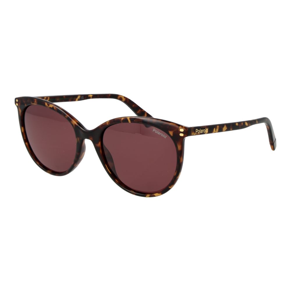 Polaroid Brown Polycarbonate Sunglasses Polaroid