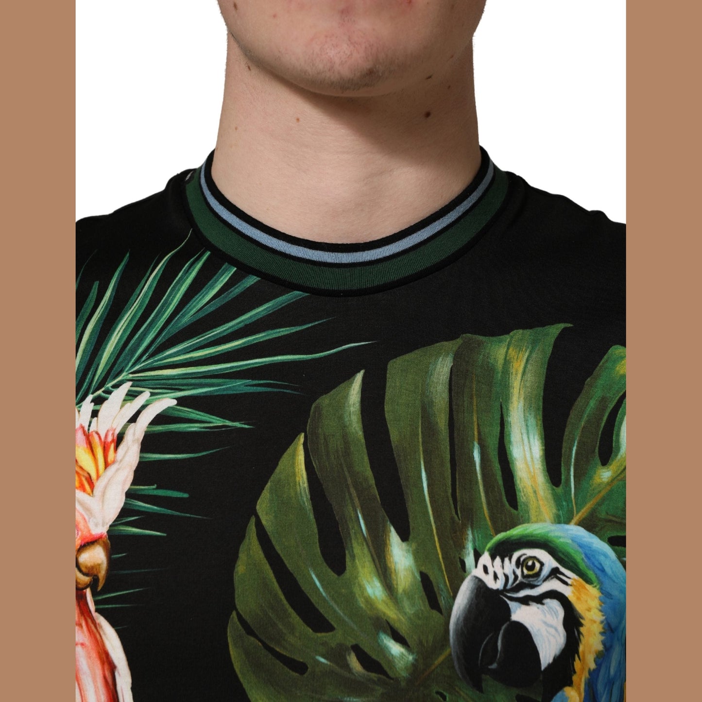 Dolce & Gabbana Black Bird Print Cotton Men Crew Neck T-shirt