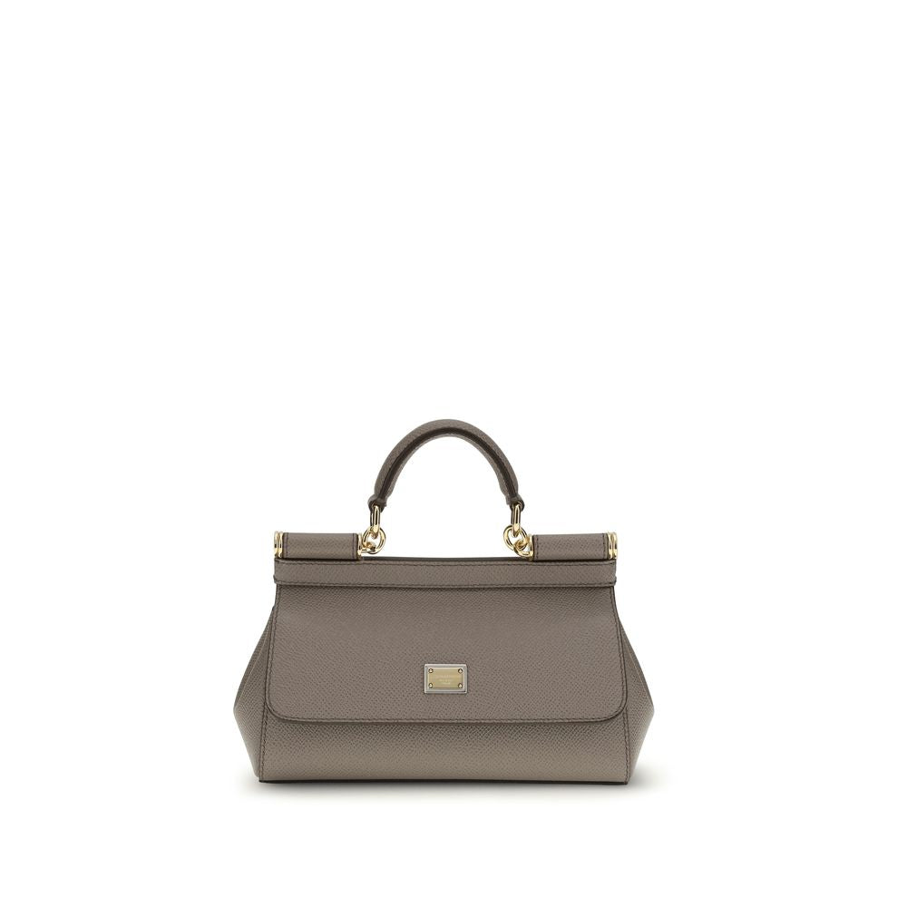 Dolce & Gabbana Gray Calf Leather Bos Taurus Handbag Dolce & Gabbana
