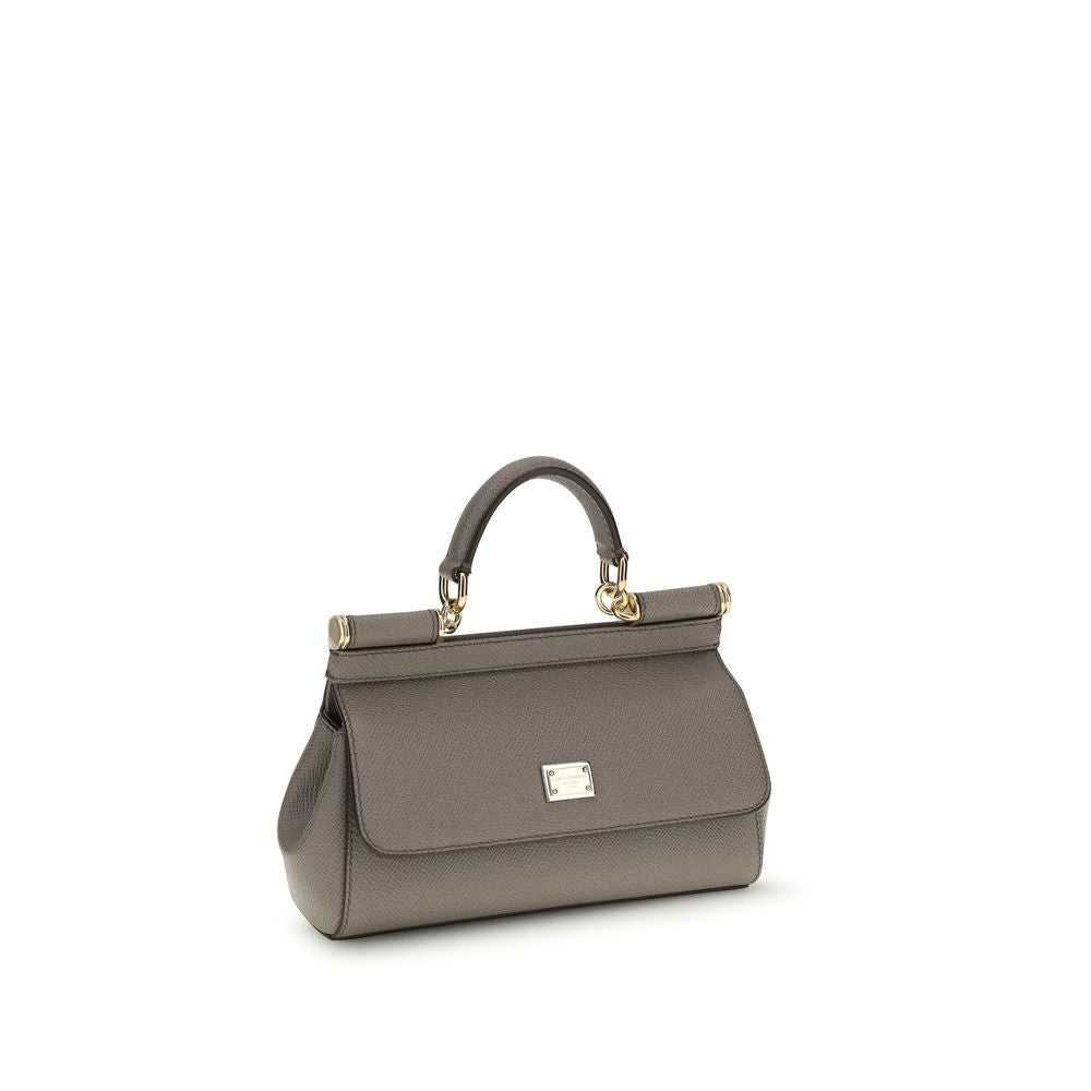 Dolce & Gabbana Gray Calf Leather Bos Taurus Handbag Dolce & Gabbana