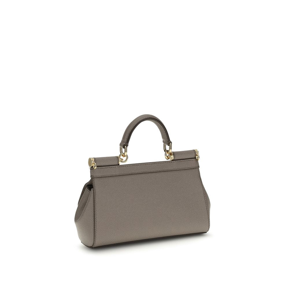 Dolce & Gabbana Gray Calf Leather Bos Taurus Handbag Dolce & Gabbana