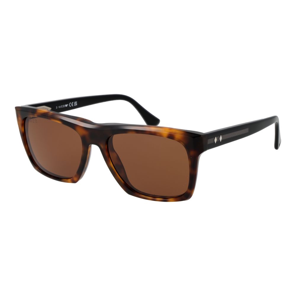 Web Brown Acetate Sunglasses Web