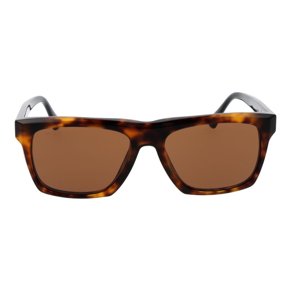 Web Brown Acetate Sunglasses Web
