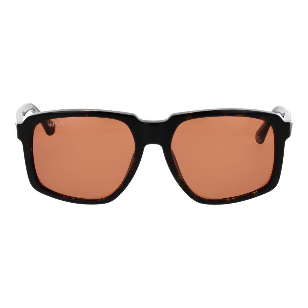 Web Brown Acetate Sunglasses Web