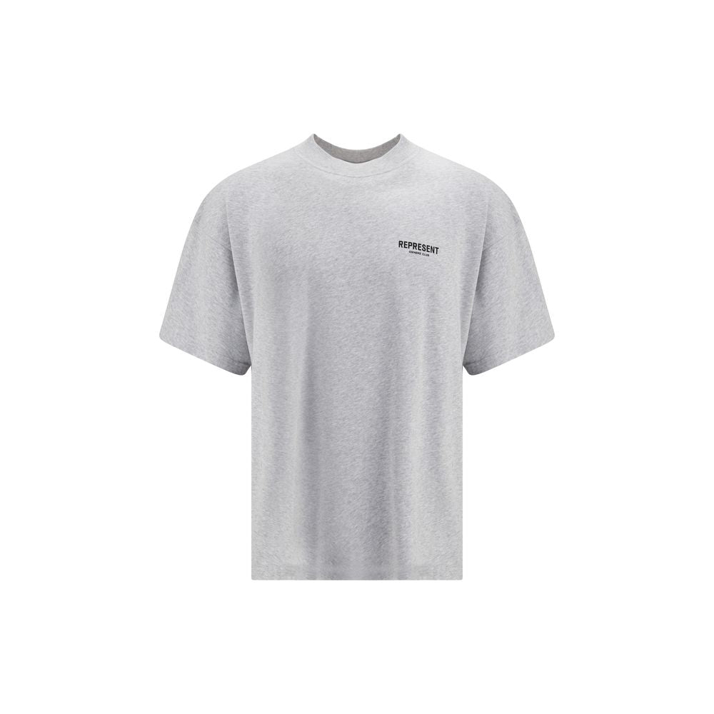 Represent gray cotton T-shirt with round neckline and short sleeves, casual fit, and soft fabric.