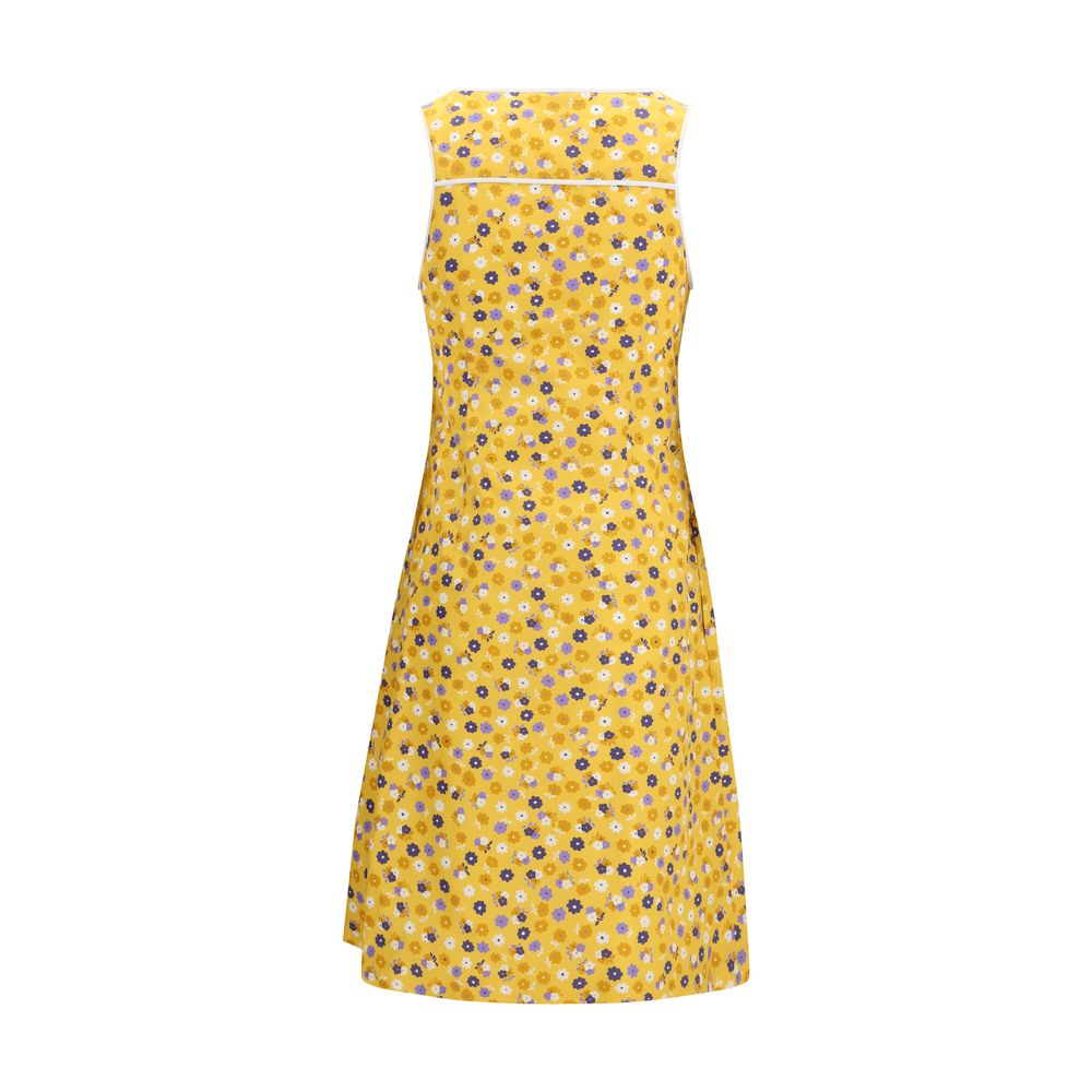 Miu Miu Bicolor Cotton Casual Dress Miu Miu