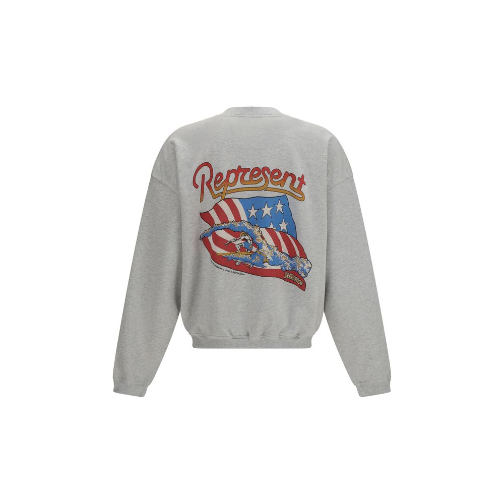 Represent gray cotton sweatshirt with a relaxed fit, featuring a crew neck and minimalist design, shown on a plain background.