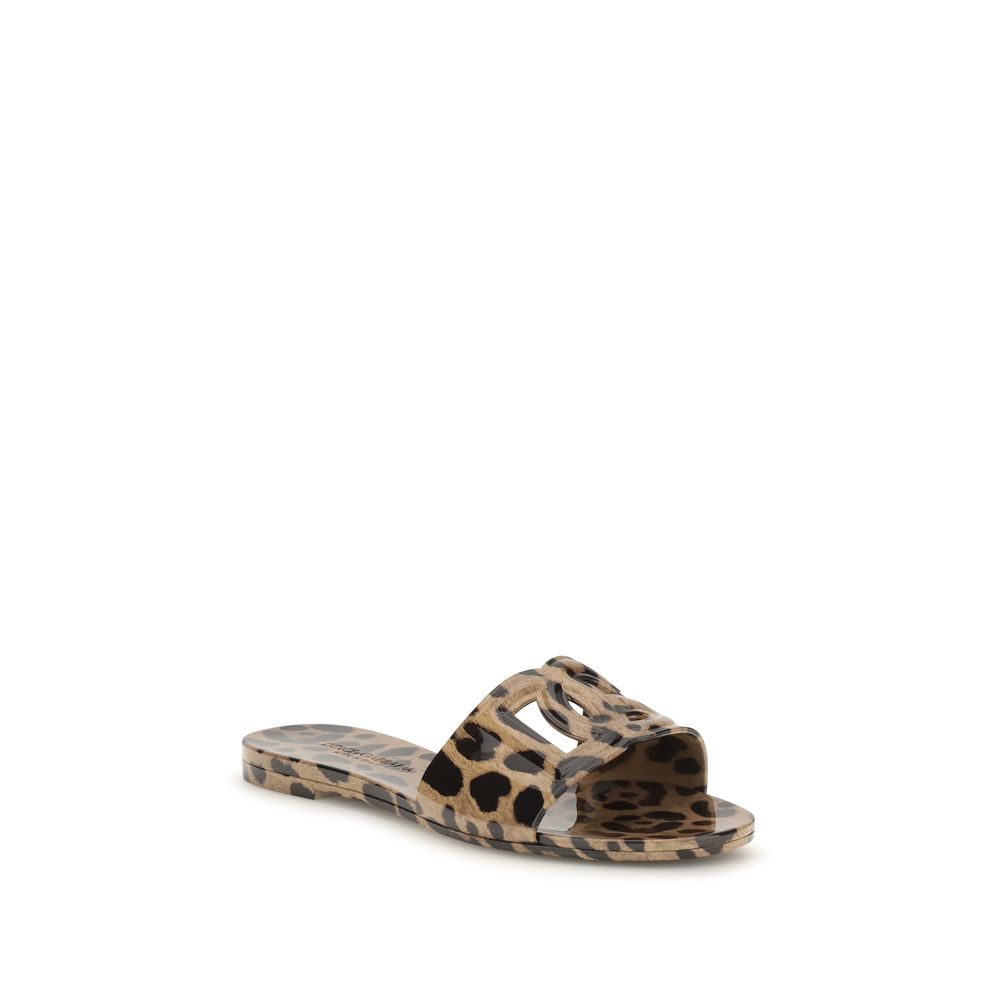 Dolce & Gabbana Multicolor Rubber Flat Sandals Dolce & Gabbana