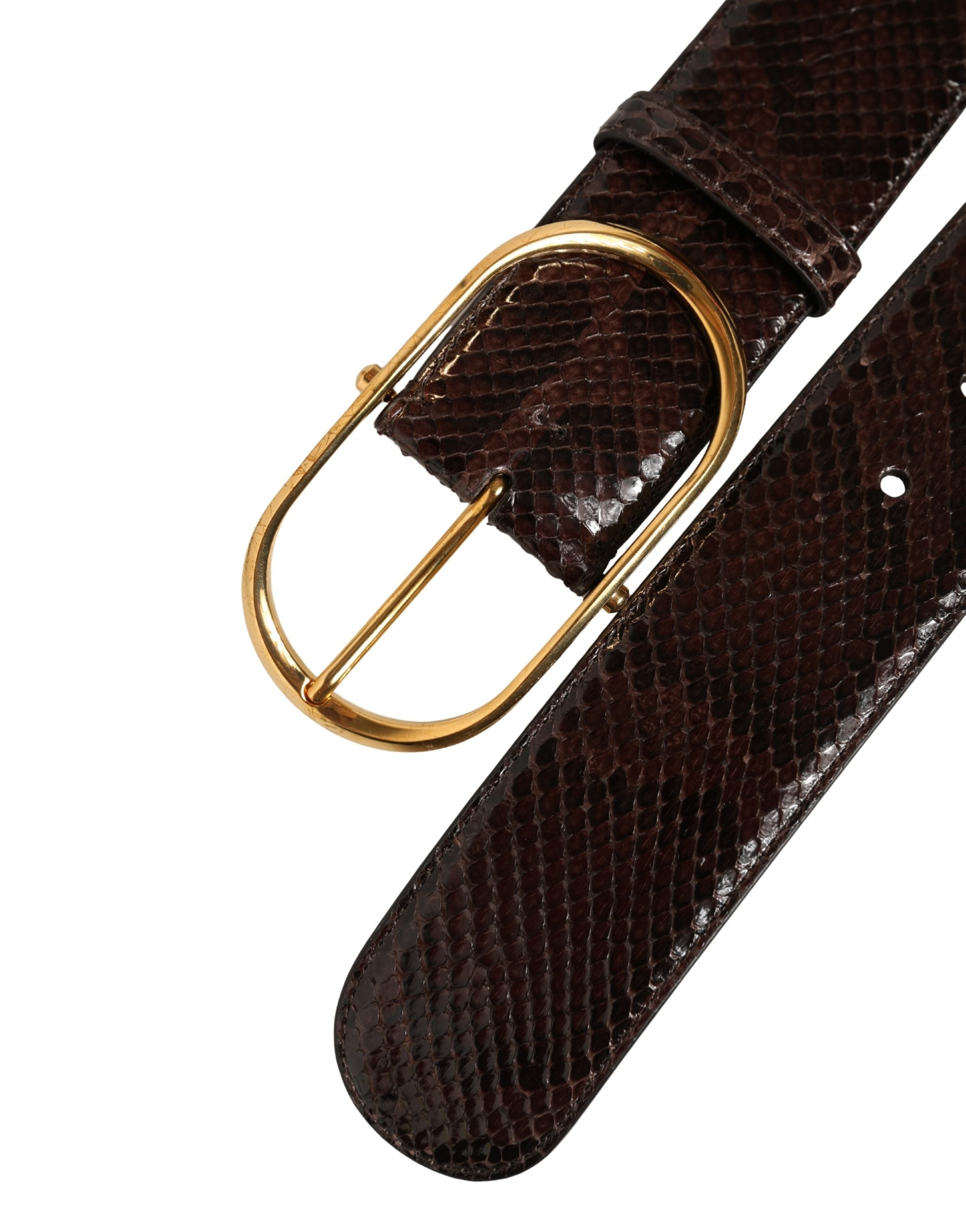 Dolce & Gabbana Brown Python Leather Gold Metal Buckle Belt Dolce & Gabbana