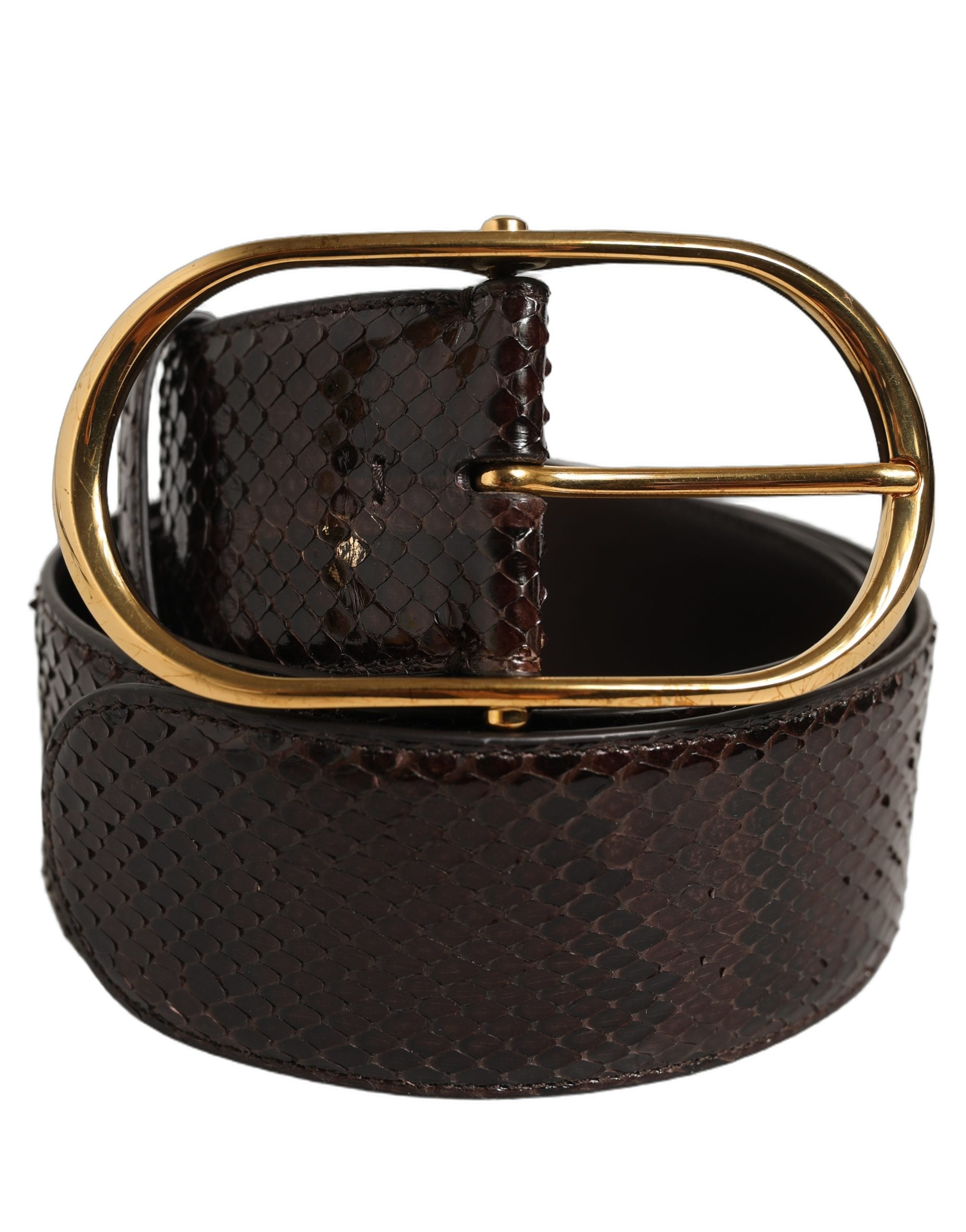 Dolce & Gabbana Brown Python Leather Gold Metal Buckle Belt Dolce & Gabbana
