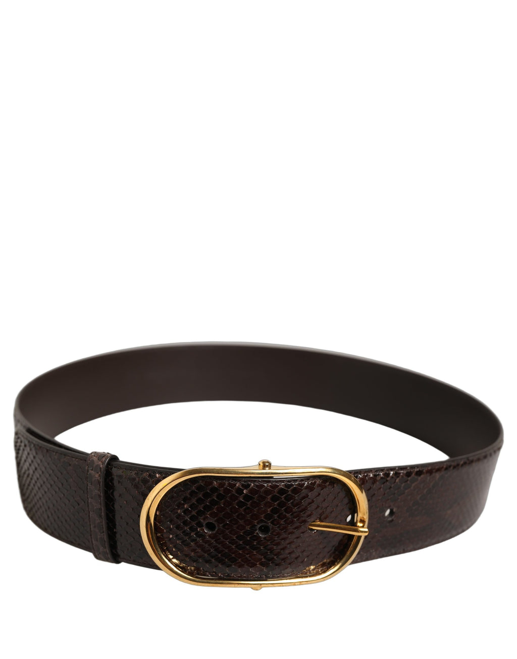 Dolce & Gabbana Brown Python Leather Gold Metal Buckle Belt Dolce & Gabbana