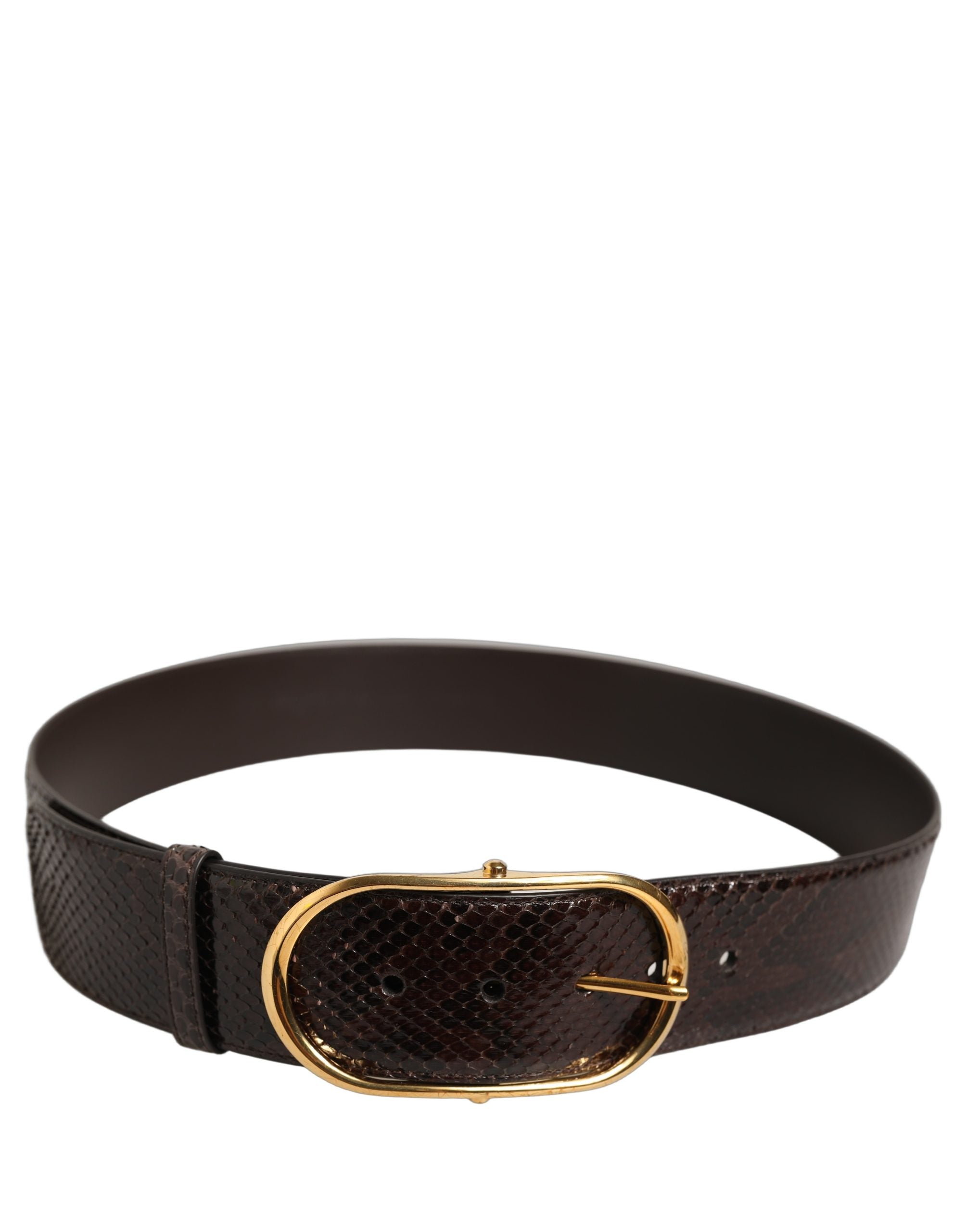 Dolce & Gabbana Brown Python Leather Gold Metal Buckle Belt Dolce & Gabbana