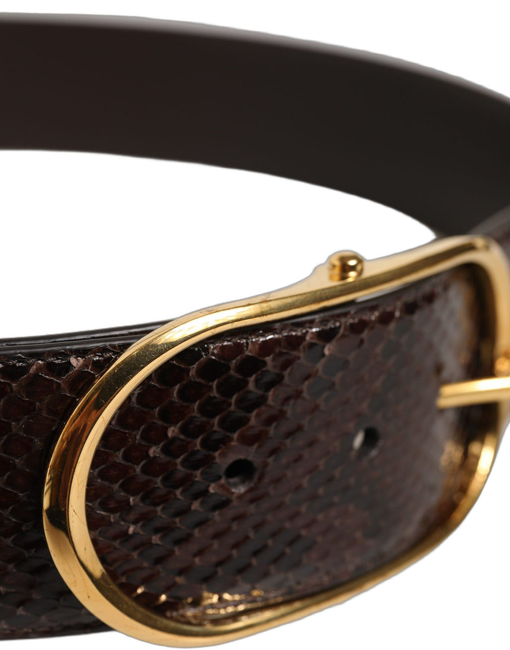 Dolce & Gabbana Brown Python Leather Gold Metal Buckle Belt Dolce & Gabbana