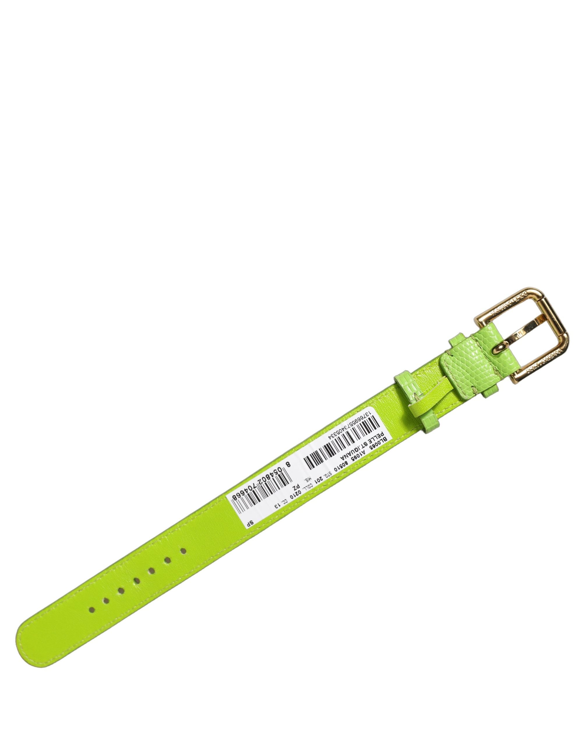 Dolce & Gabbana Green Textured Leather Gold Buckle Belt Strap Bracelet Dolce & Gabbana