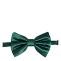 Dolce & Gabbana Men Green 100% Silk Adjustable Neck Papillon Bow Tie