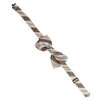 Dolce & Gabbana Men Brown Beige Stripes Adjustable Neck Papillon Bow Tie
