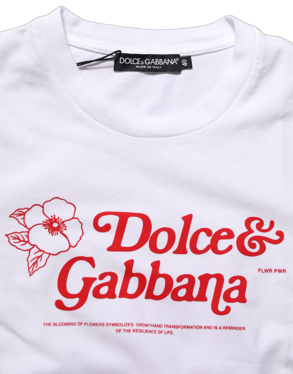 Dolce & Gabbana white crew neck T-shirt with floral logo print and branding, casual style, front view.