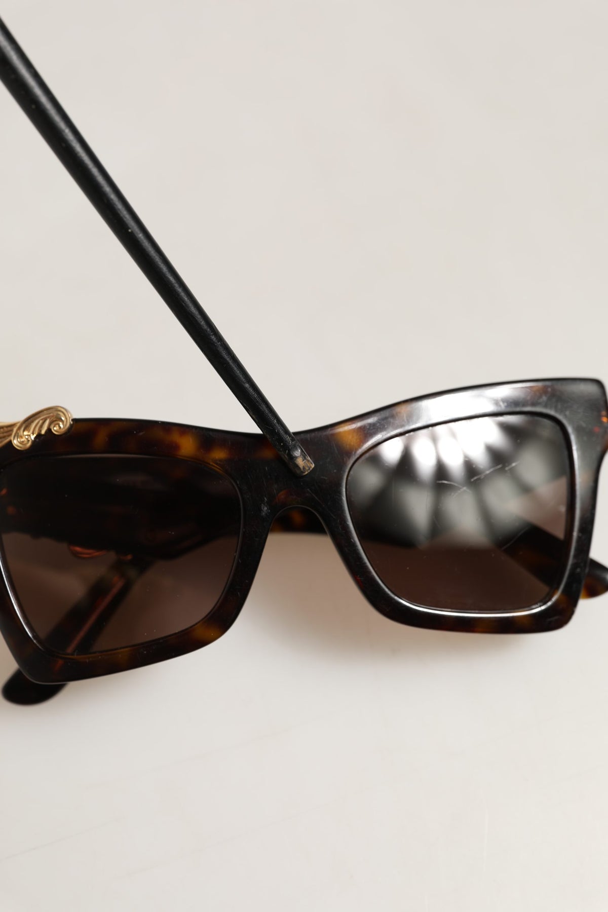 Dolce & Gabbana Brown DG4434 Accent Havana Acetate Frame Sunglasses - Eljoys Fashion 