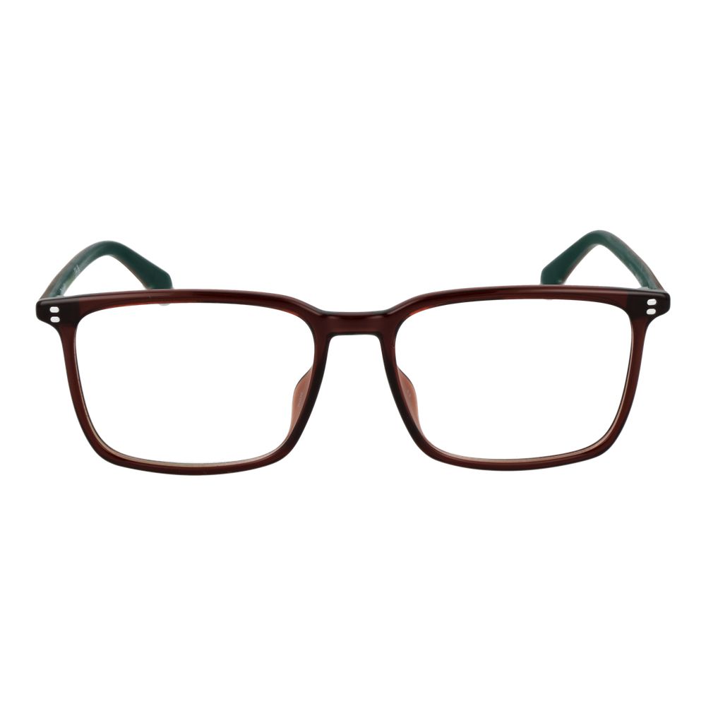 Polaroid Brown Polyamide Glasses (Frames) - Eljoys Fashion 