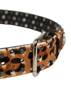 Dolce & Gabbana Brown Leopard Calf Hair Studs Metal Buckle Belt