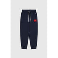 Champion Navy Blue Cotton Joggers (Workout Pants) - Eljoys Fashion 