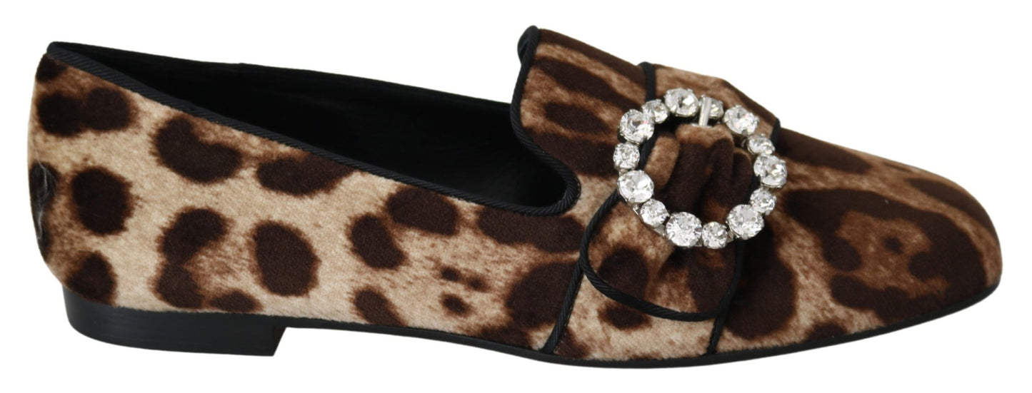 Dolce & Gabbana Brown Leopard Print Crystals Loafers Flats Shoes Dolce & Gabbana