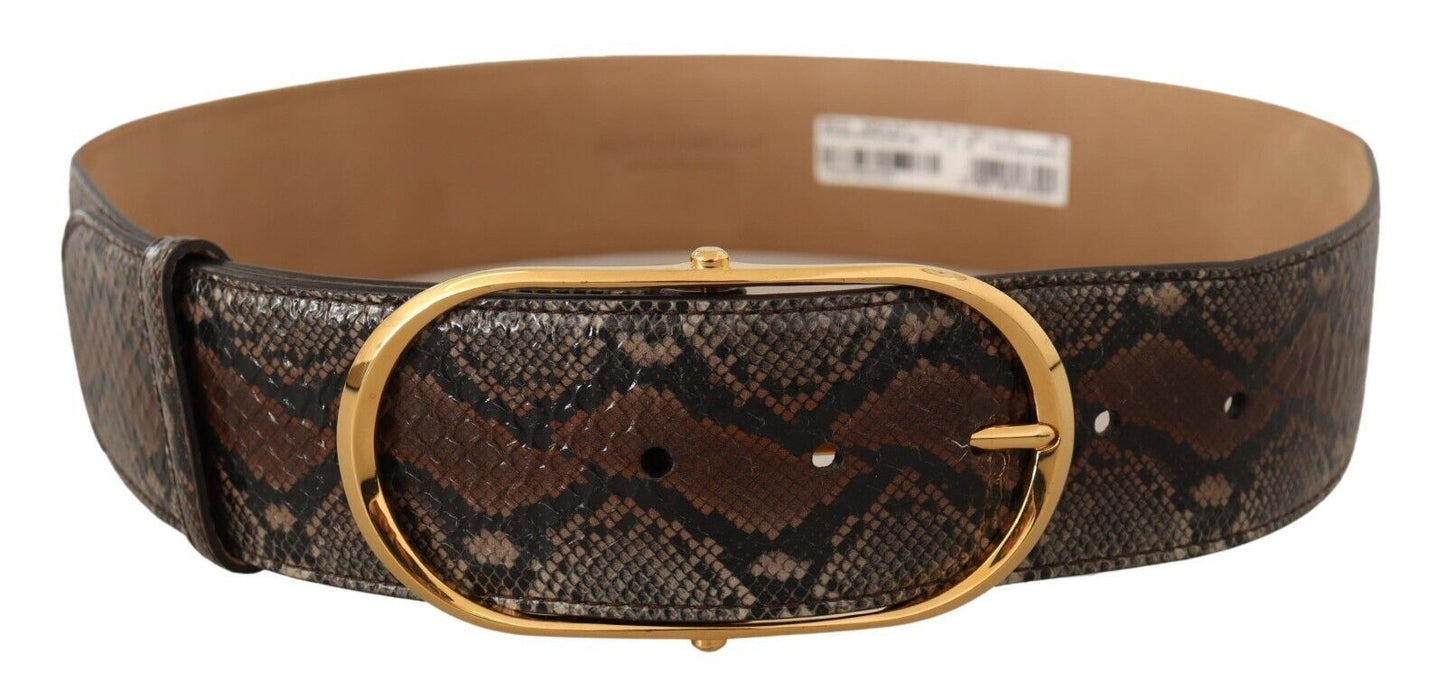 Dolce & Gabbana Brown Exotic Leather Gold Oval Buckle Belt Dolce & Gabbana