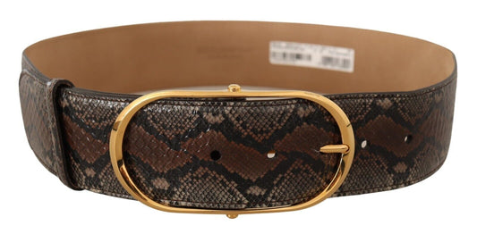 Dolce & Gabbana Brown Exotic Leather Gold Oval Buckle Belt Dolce & Gabbana