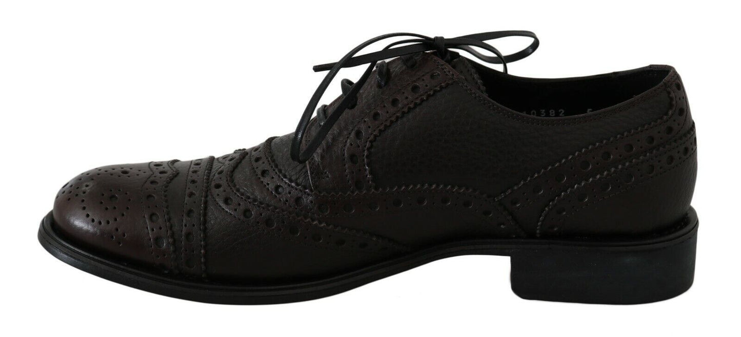 Dolce & Gabbana Brown Leather Wingtip Derby Formal Shoes Dolce & Gabbana