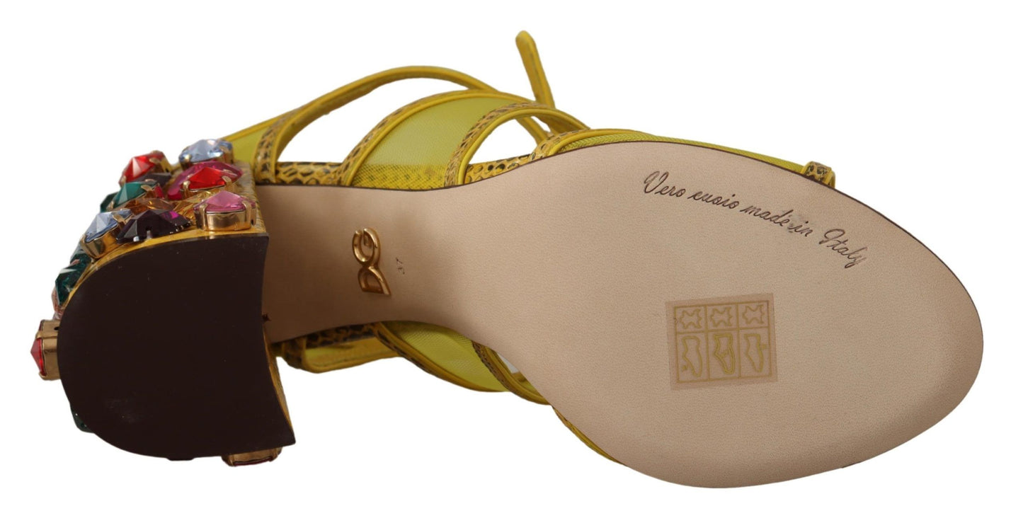 Dolce & Gabbana Yellow Leather Crystal Ayers Sandals Shoes Dolce & Gabbana