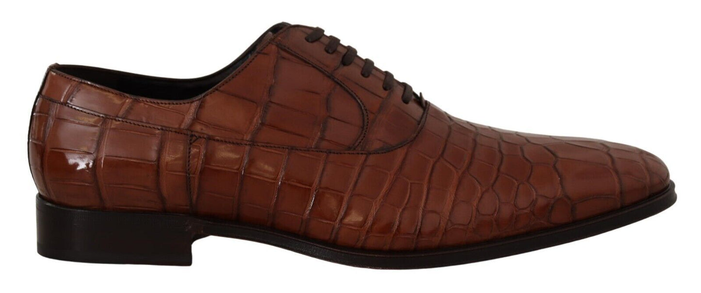 Dolce & Gabbana Brown Crocodile Leather Mens Formal Derby Shoes Dolce & Gabbana
