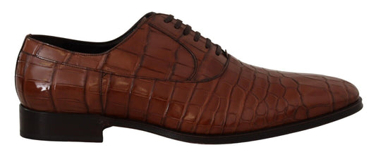Dolce & Gabbana Brown Crocodile Leather Mens Formal Derby Shoes Dolce & Gabbana