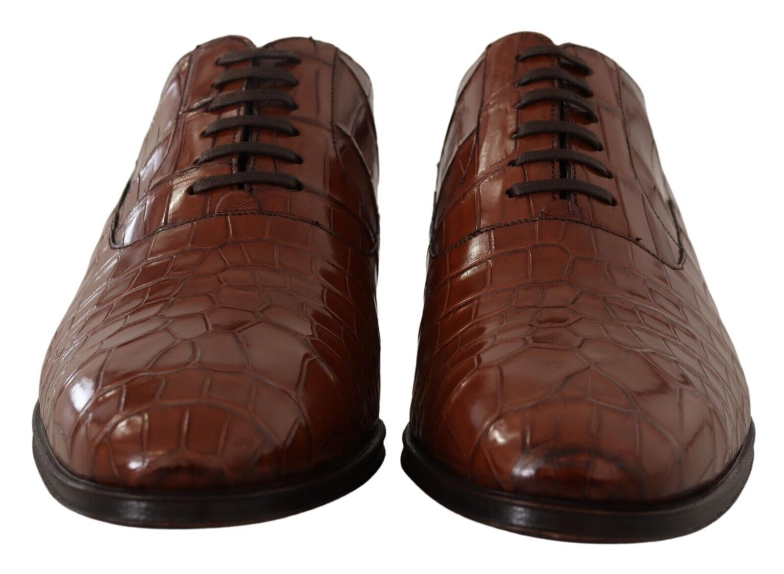 Dolce & Gabbana Brown Crocodile Leather Mens Formal Derby Shoes Dolce & Gabbana