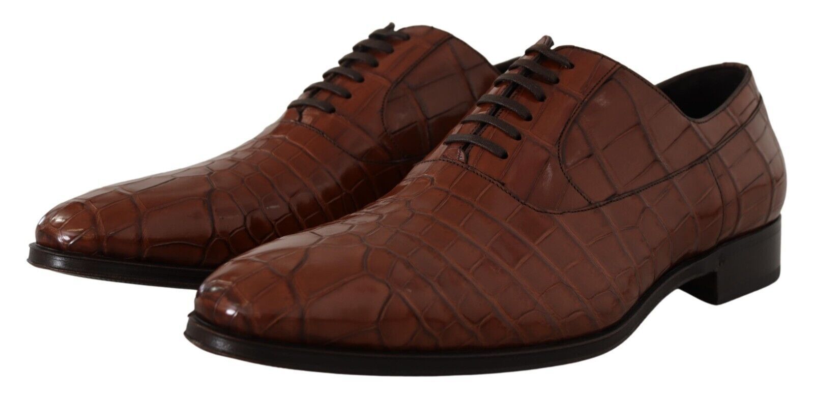 Dolce & Gabbana Brown Crocodile Leather Mens Formal Derby Shoes Dolce & Gabbana
