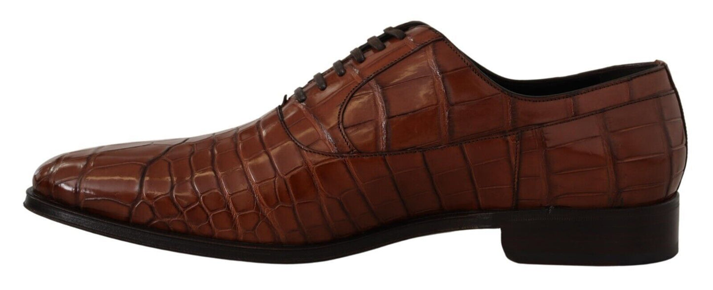 Dolce & Gabbana Brown Crocodile Leather Mens Formal Derby Shoes Dolce & Gabbana
