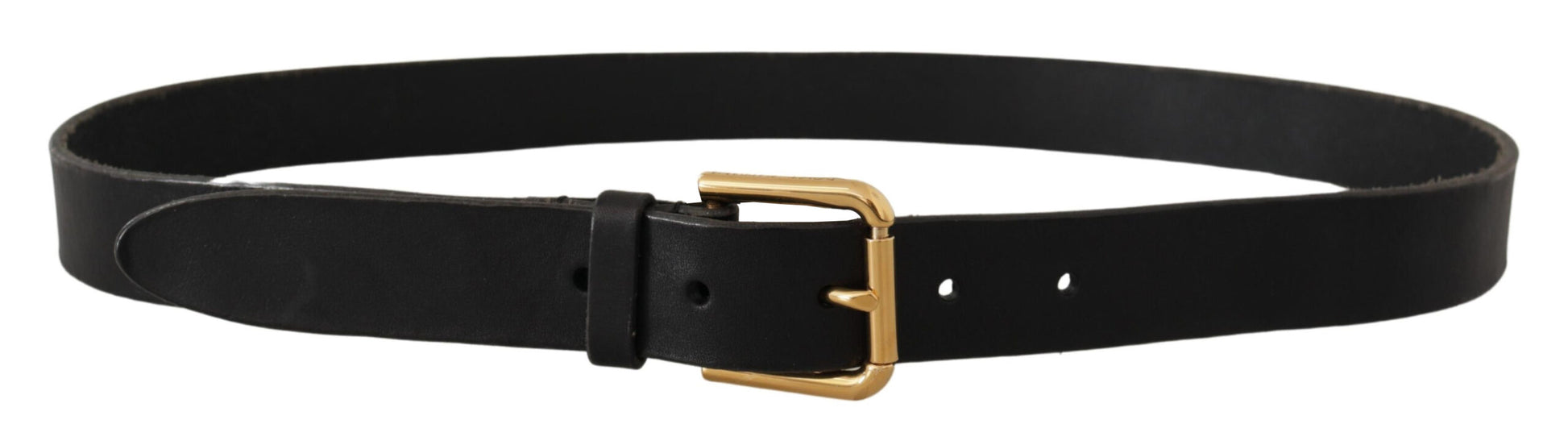 Dolce & Gabbana Brown Classic Leather Gold Metal Buckle Belt Dolce & Gabbana