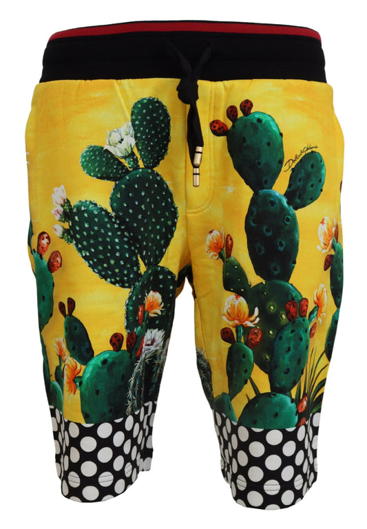 Dolce & Gabbana Multicolor Cactus Print Cotton Sweat Shorts Dolce & Gabbana