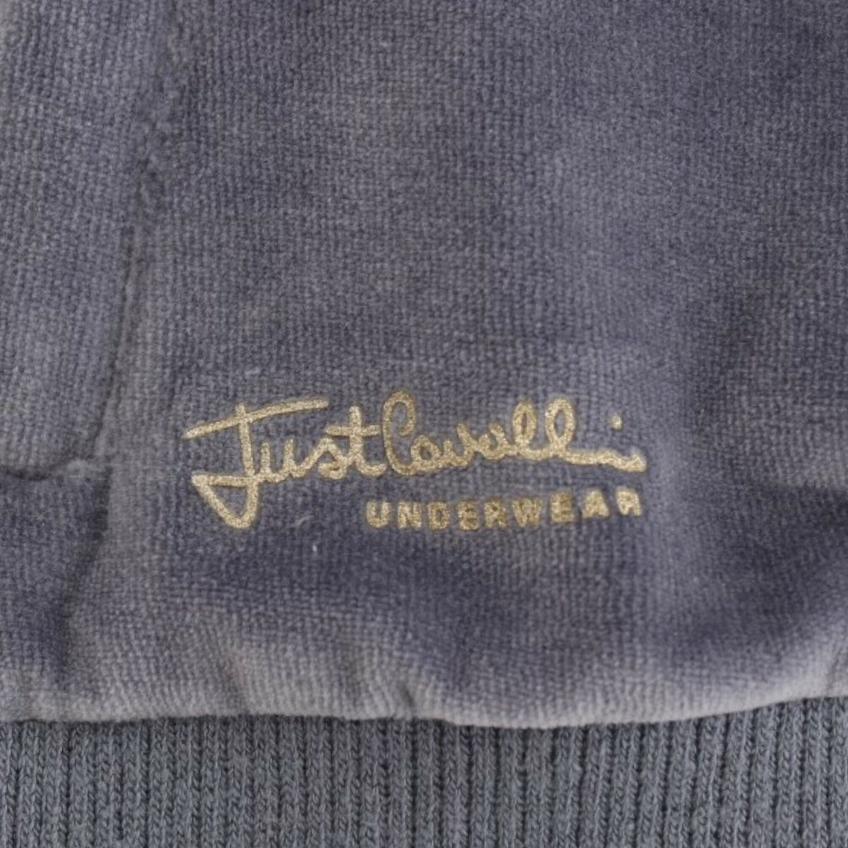 Cavalli Blue velvet zipup sweater